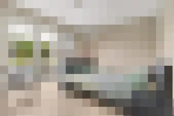 Lijnbaan 11 Kortgene thumbnail 19