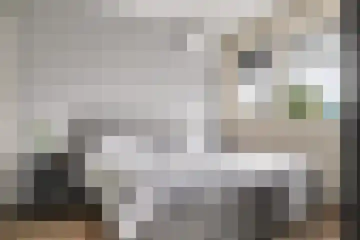 Lijnbaan 11 Kortgene thumbnail 31