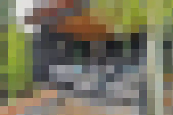 Lijnbaan 11 Kortgene thumbnail 40