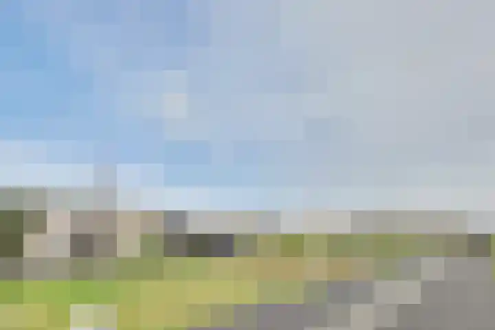 Lijnbaan 11 Kortgene thumbnail 45