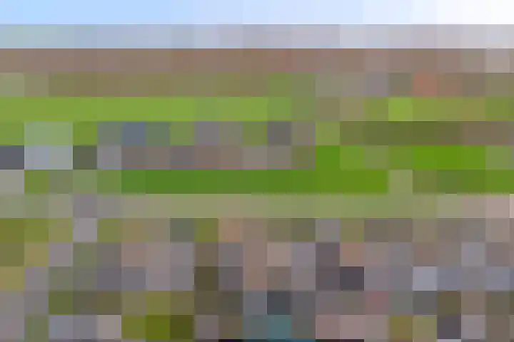 Lijnbaan 11 Kortgene thumbnail 48