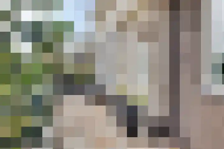 Lijnbaan 11 Kortgene thumbnail 5