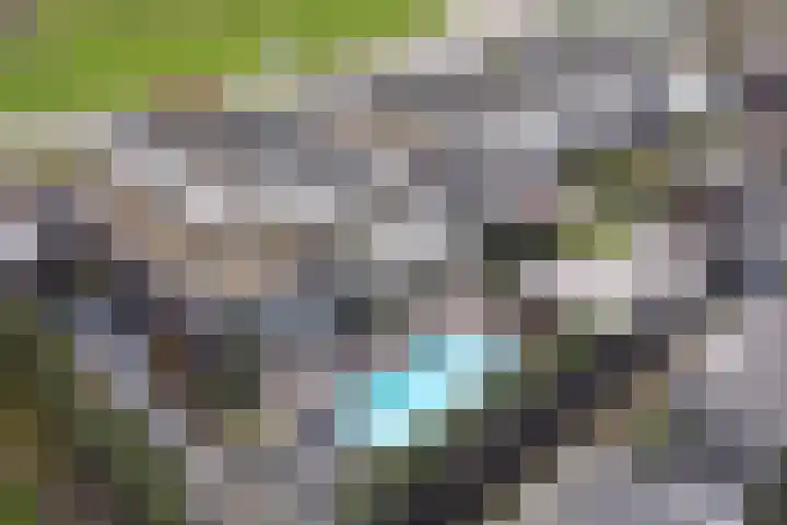 Lijnbaan 11 Kortgene thumbnail 52