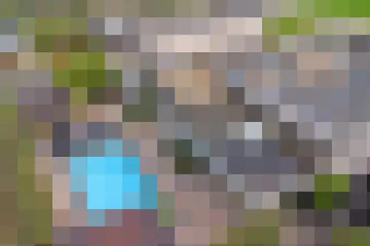 Lijnbaan 11 Kortgene thumbnail 53