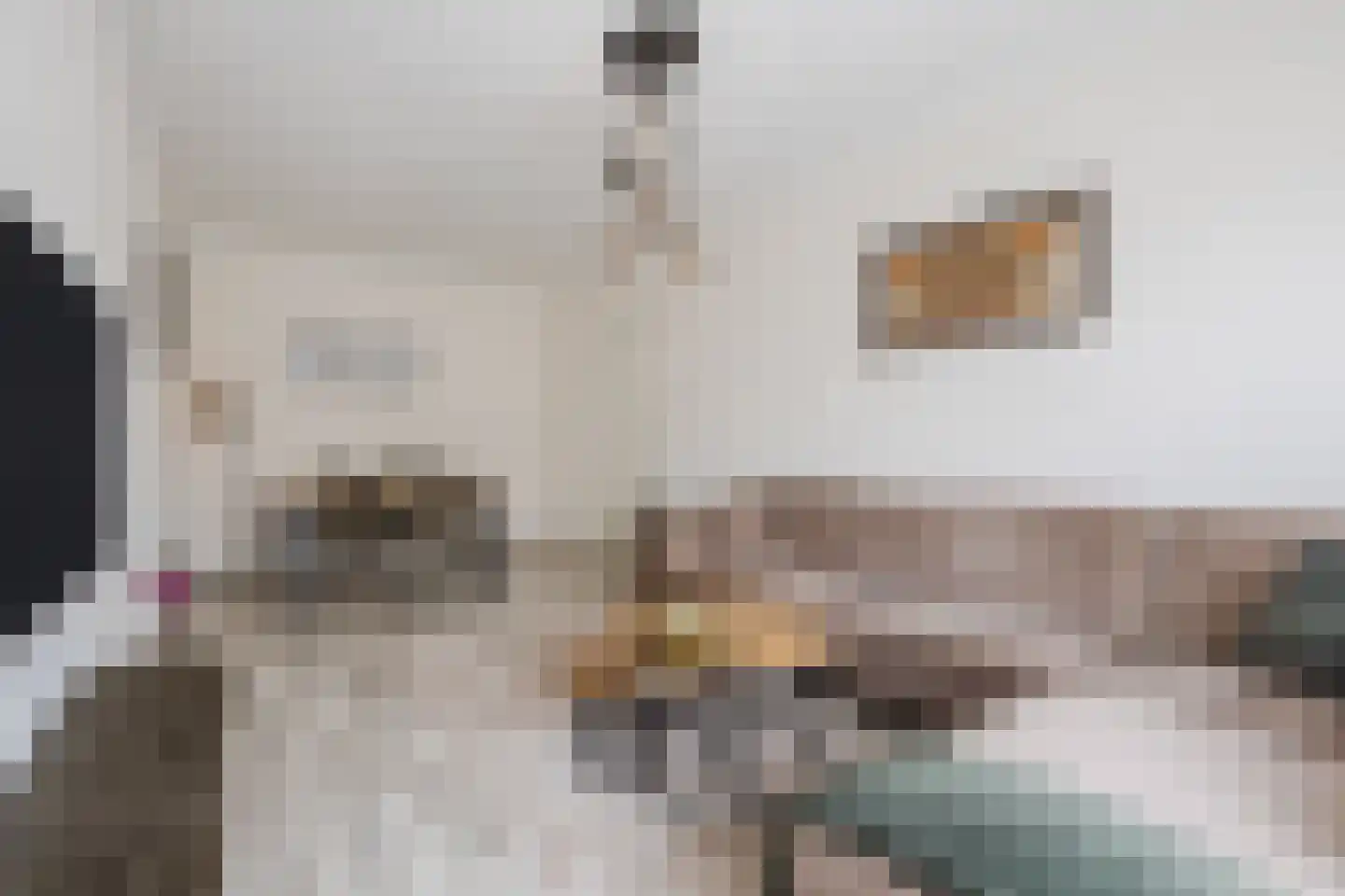Lijnbaan 114 Den Haag thumbnail 15