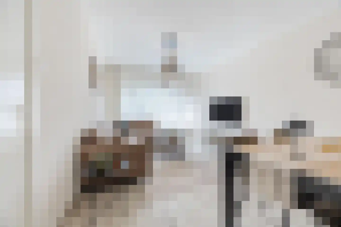 Lijnbaan 114 Den Haag thumbnail 17
