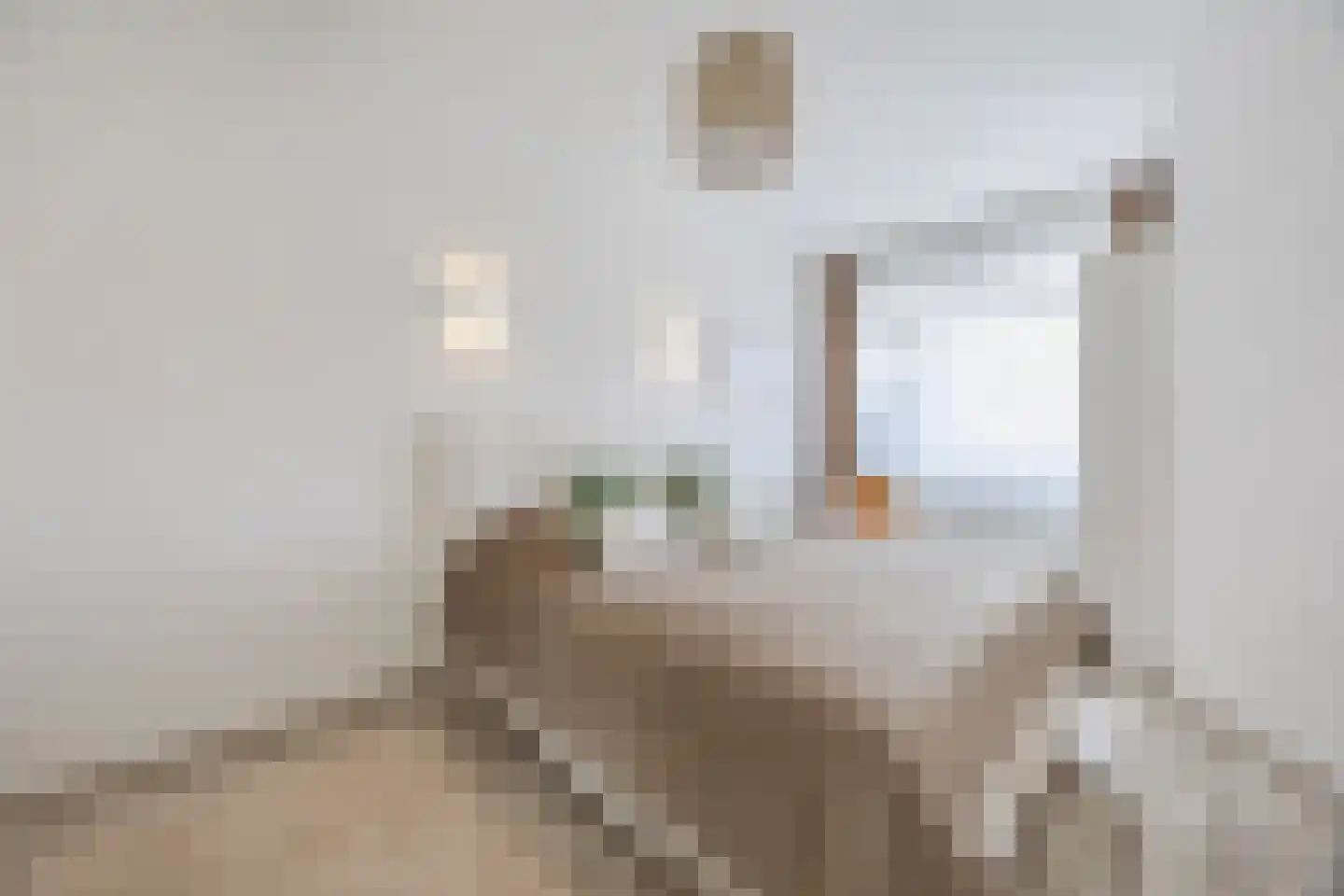 Lijnbaan 114 Den Haag thumbnail 32