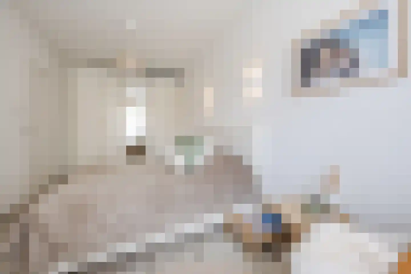 Lijnbaan 114 Den Haag thumbnail 33
