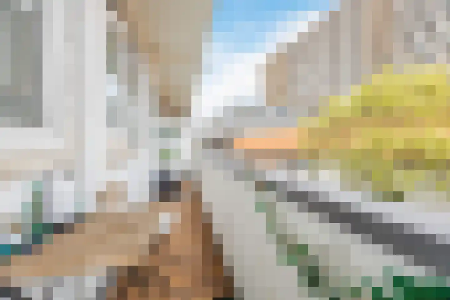 Lijnbaan 114 Den Haag thumbnail 42