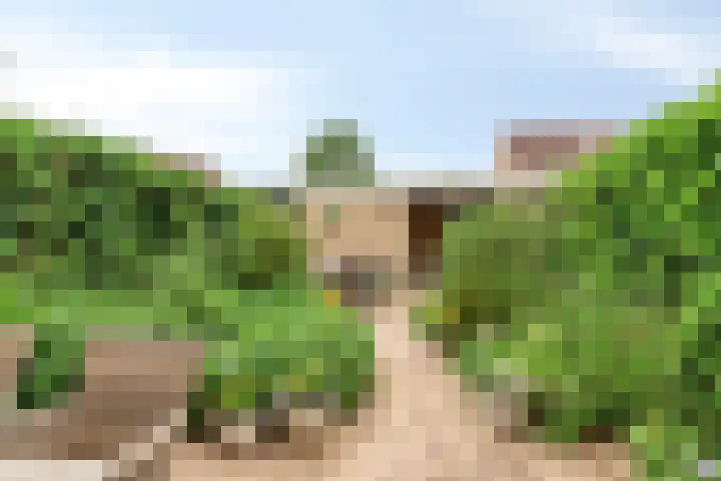 Lijnbaan 114 Oudewater thumbnail 9