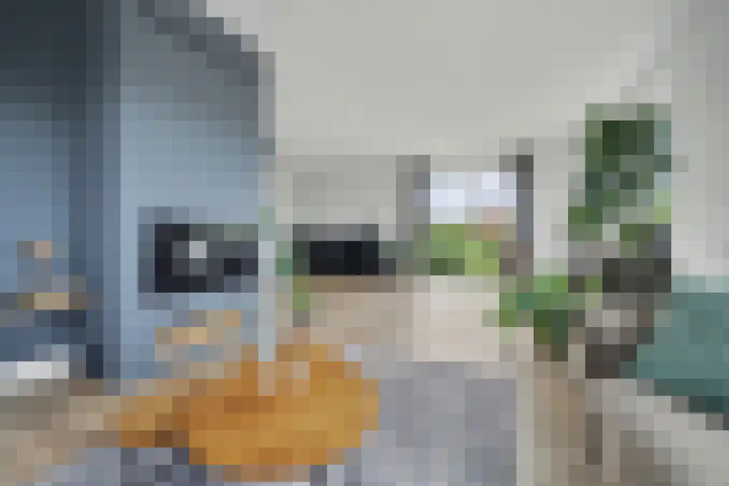 Lijnbaan 12 Kortgene thumbnail 10