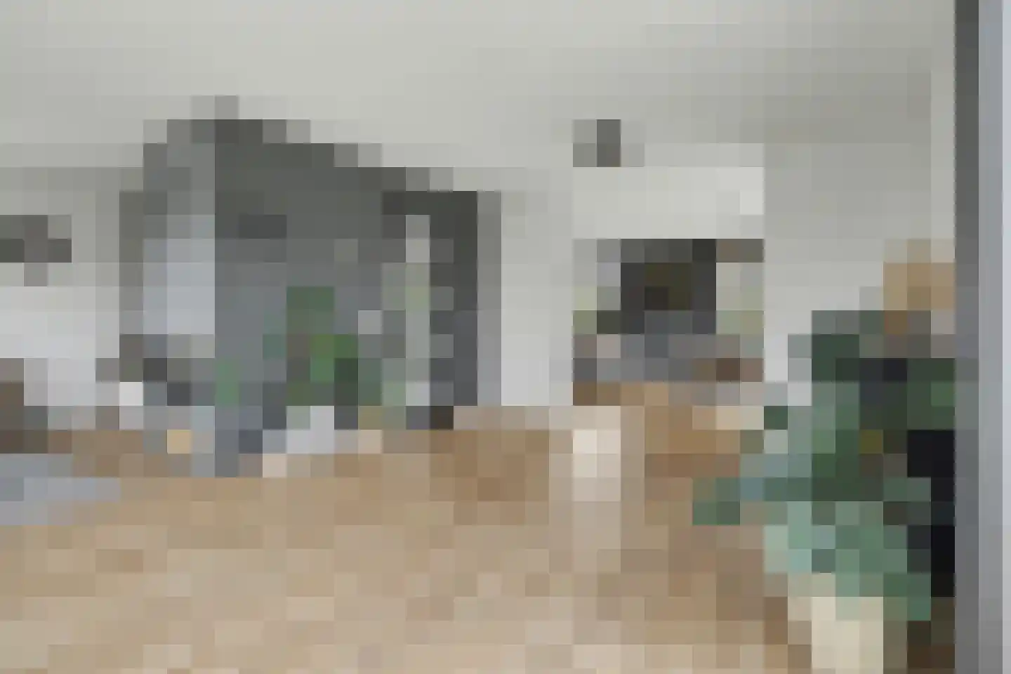 Lijnbaan 12 Kortgene thumbnail 14