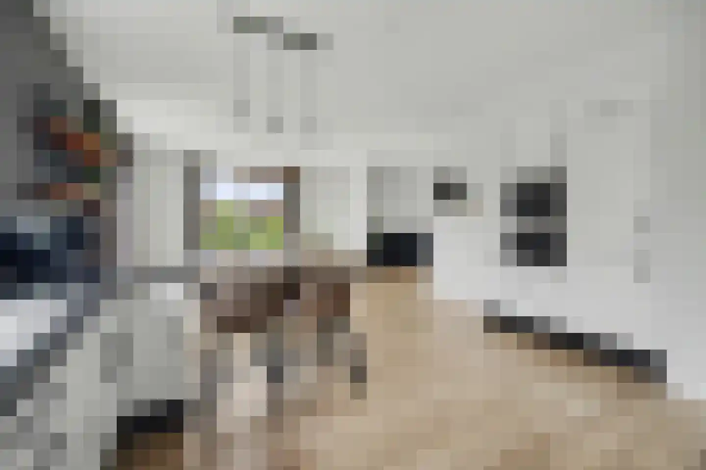 Lijnbaan 12 Kortgene thumbnail 18