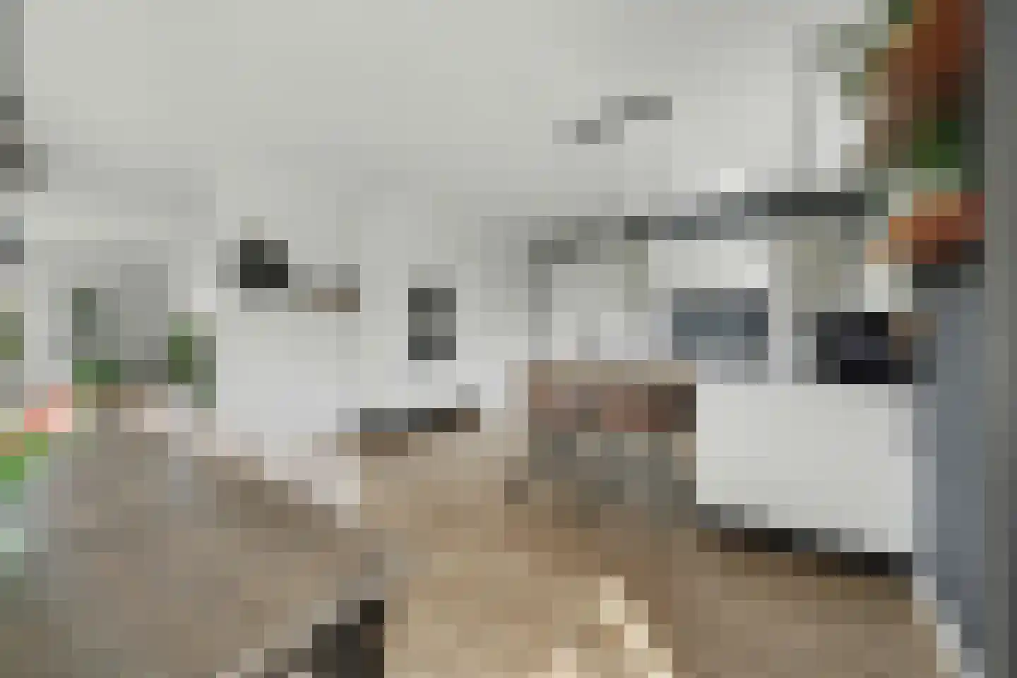 Lijnbaan 12 Kortgene thumbnail 19