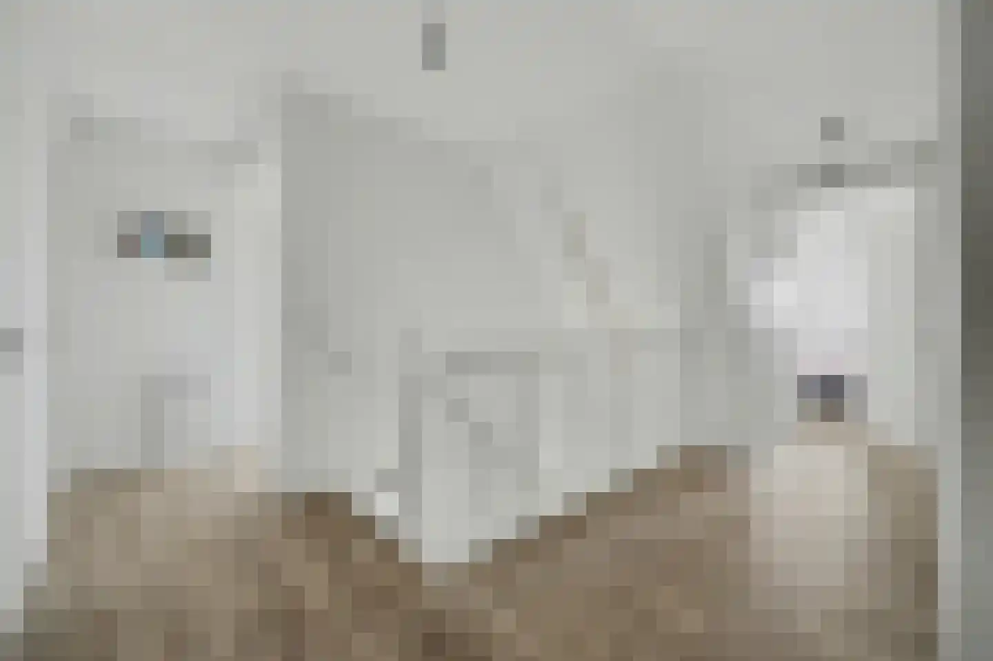 Lijnbaan 12 Kortgene thumbnail 21