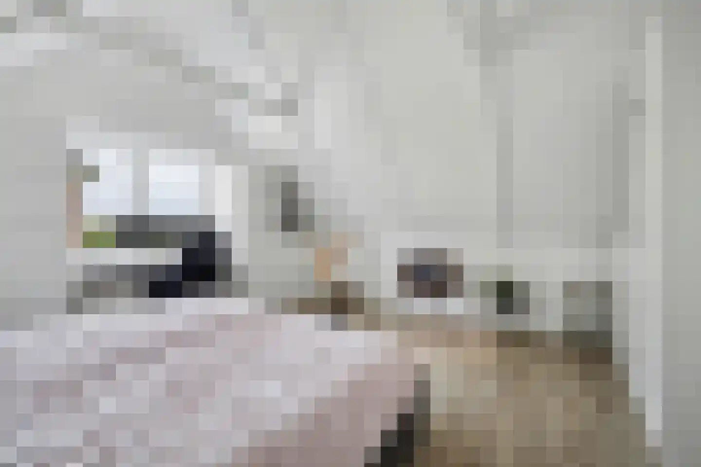 Lijnbaan 12 Kortgene thumbnail 24