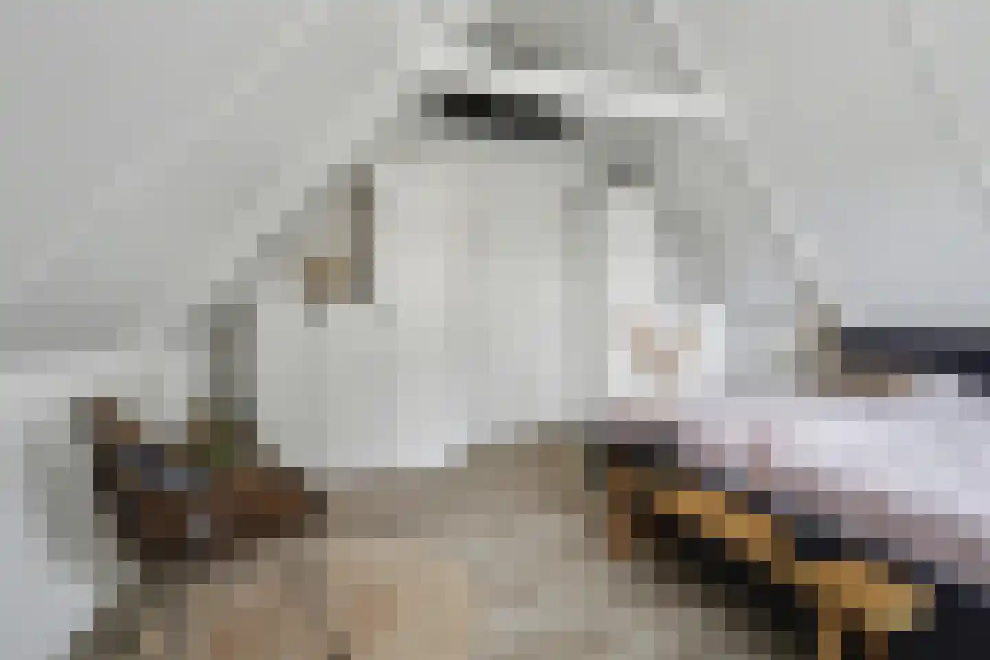 Lijnbaan 12 Kortgene thumbnail 25