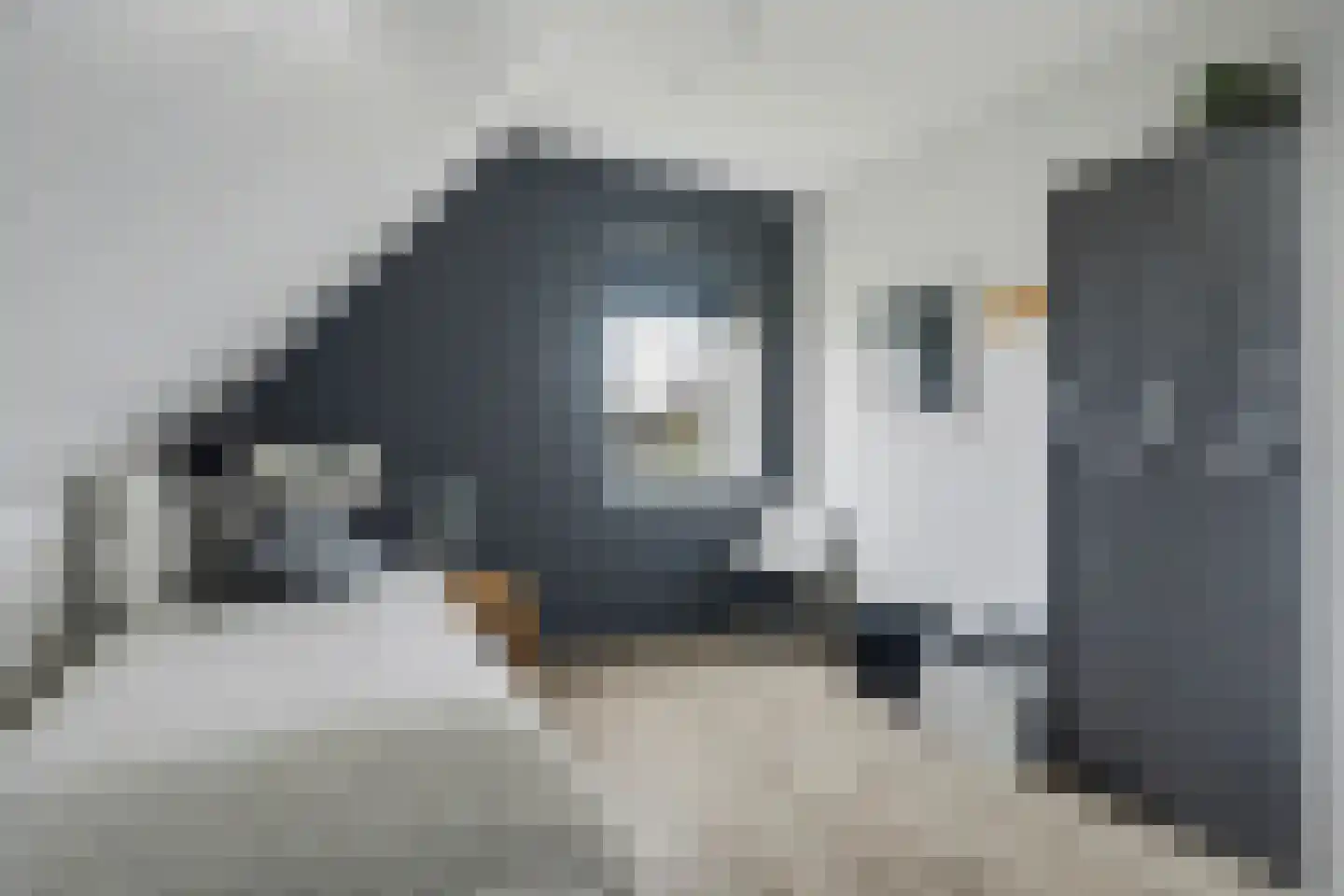 Lijnbaan 12 Kortgene thumbnail 26