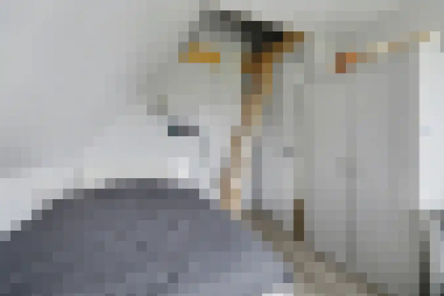 Lijnbaan 12 Kortgene thumbnail 28