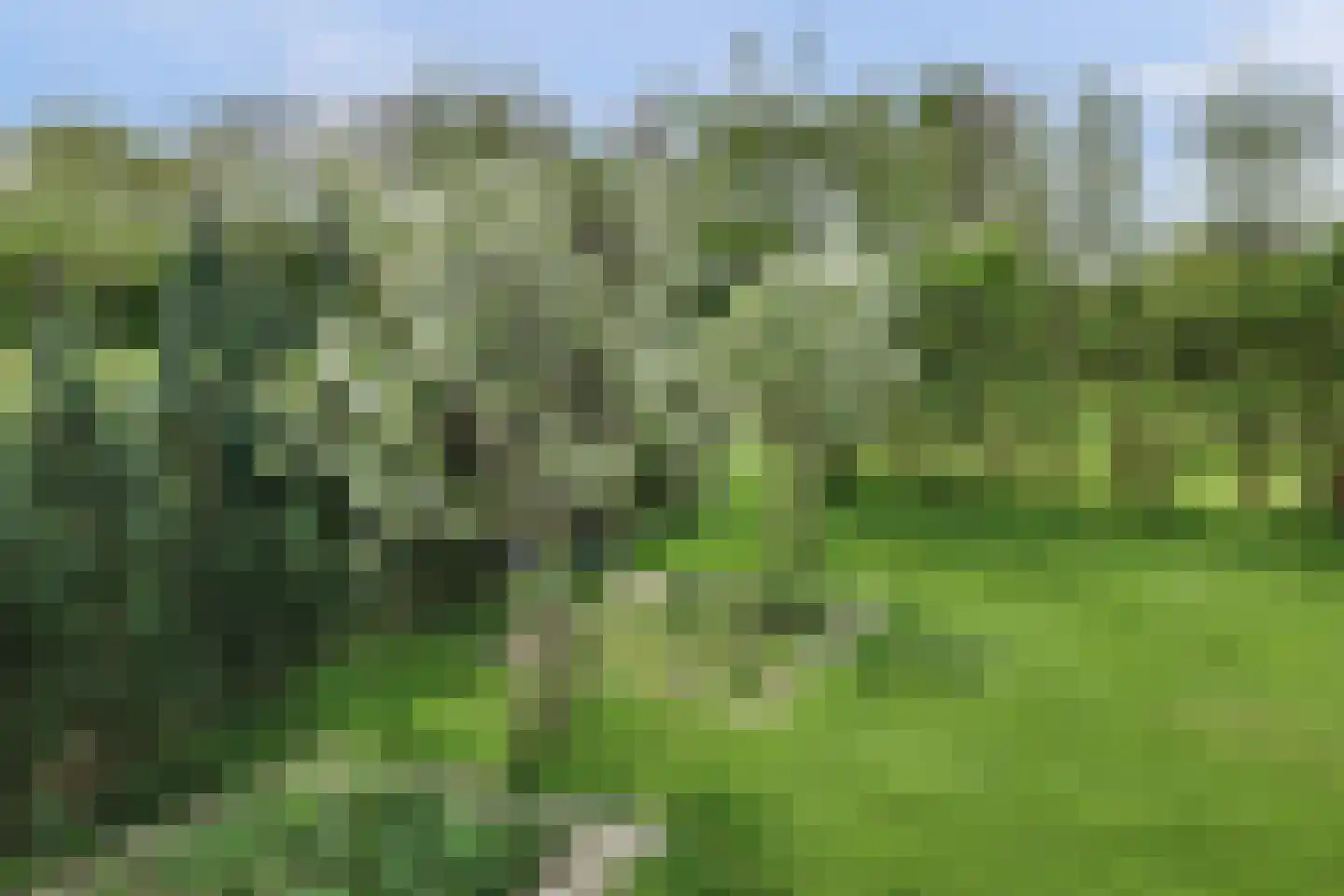 Lijnbaan 12 Kortgene thumbnail 40