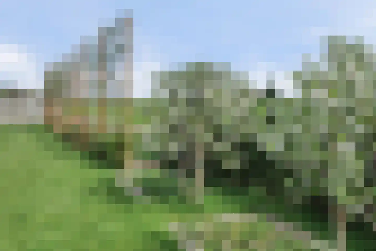 Lijnbaan 12 Kortgene thumbnail 41