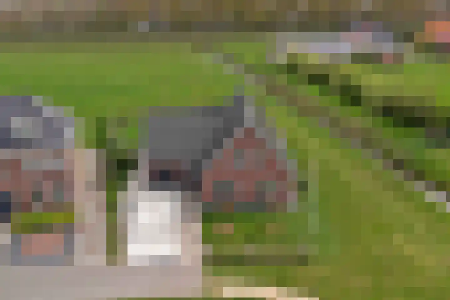 Lijnbaan 12 Kortgene thumbnail 46