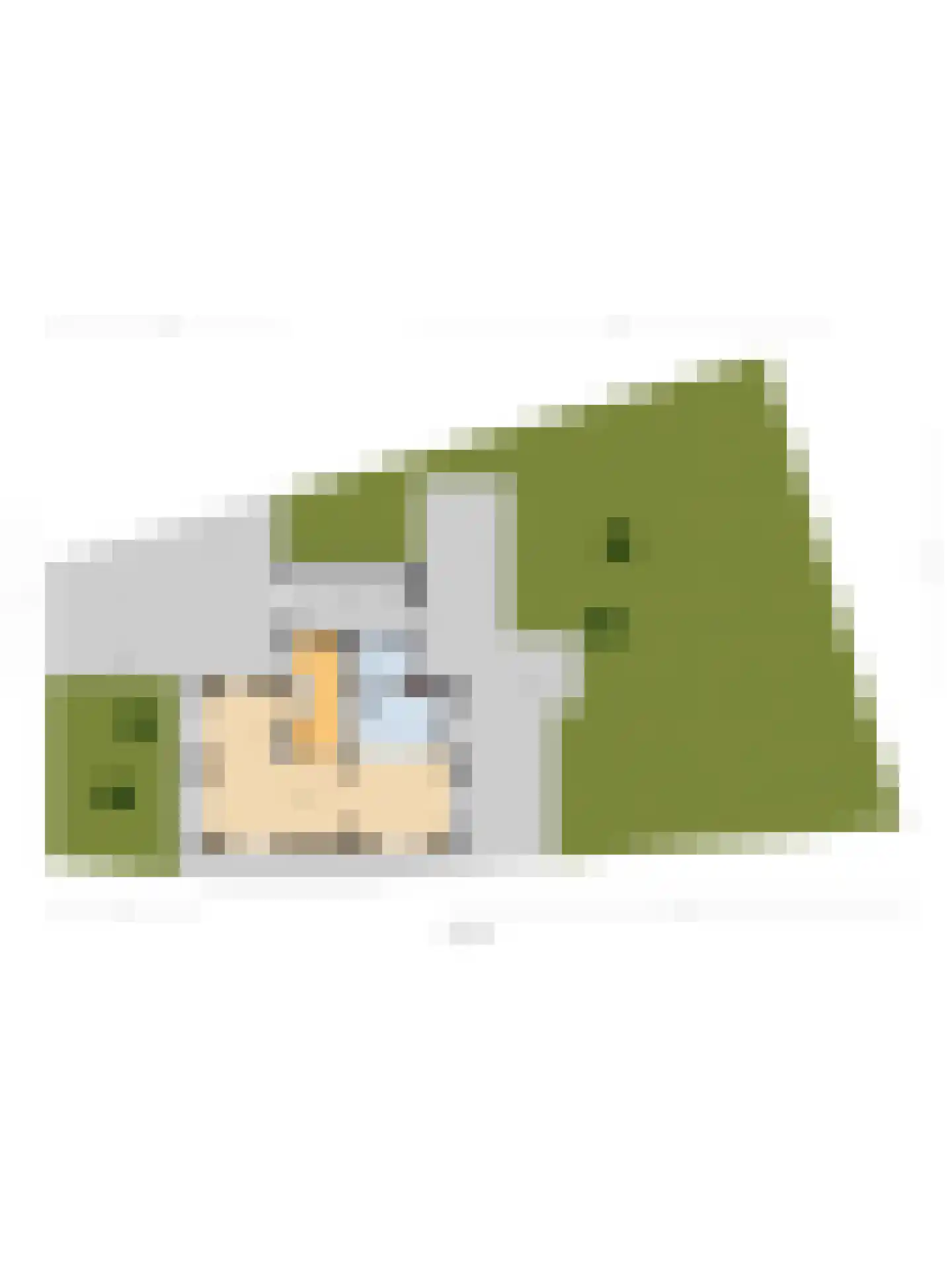 Lijnbaan 12 Kortgene thumbnail 52