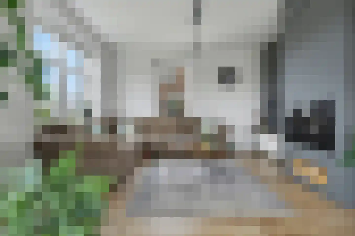 Lijnbaan 12 Kortgene thumbnail 9