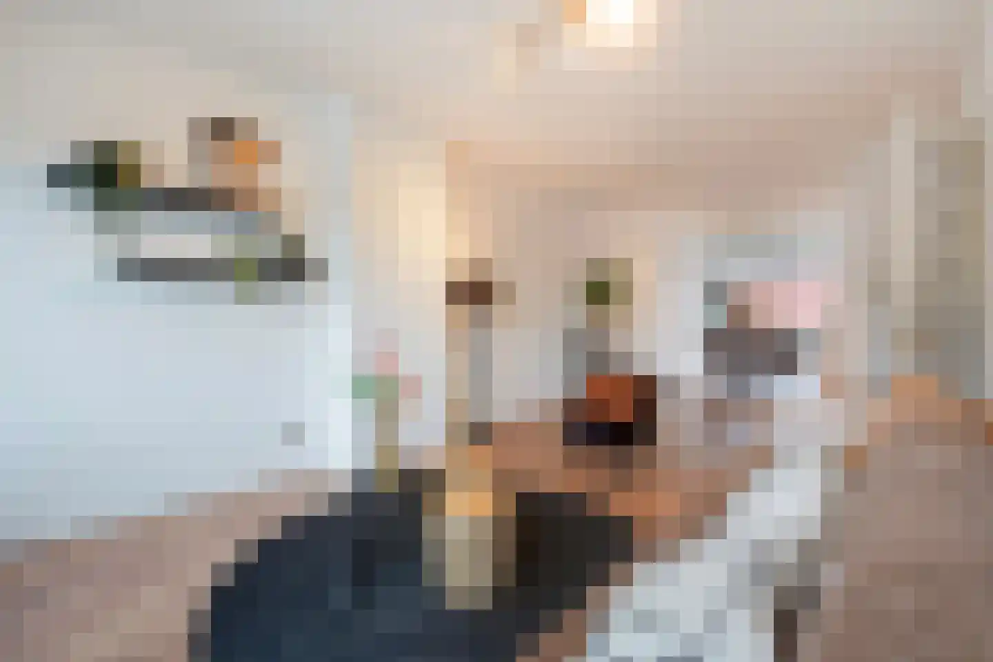 Lijnbaan 130 Den Haag thumbnail 9