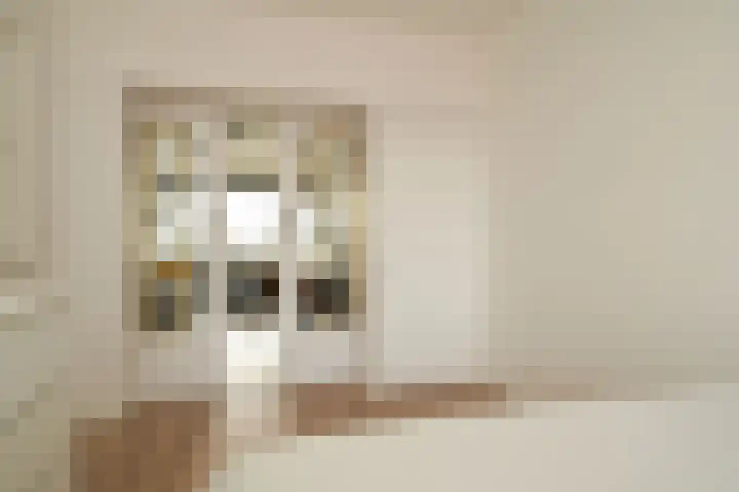 Lijnbaan 134 Den Haag thumbnail 6