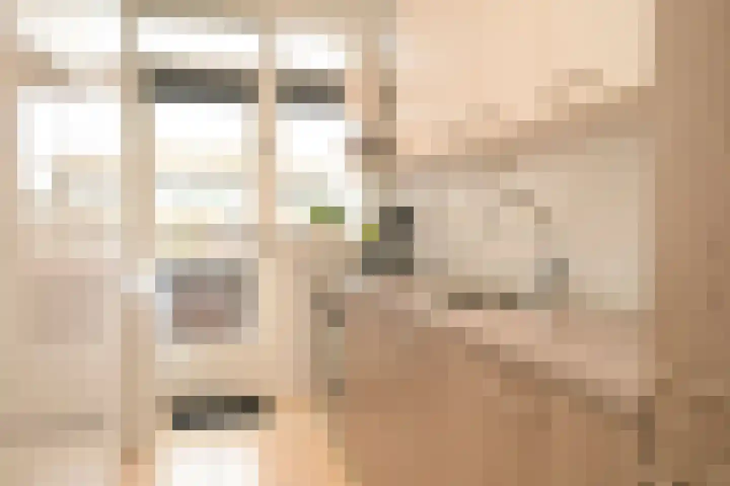 Lijnbaan 134 Den Haag thumbnail 8