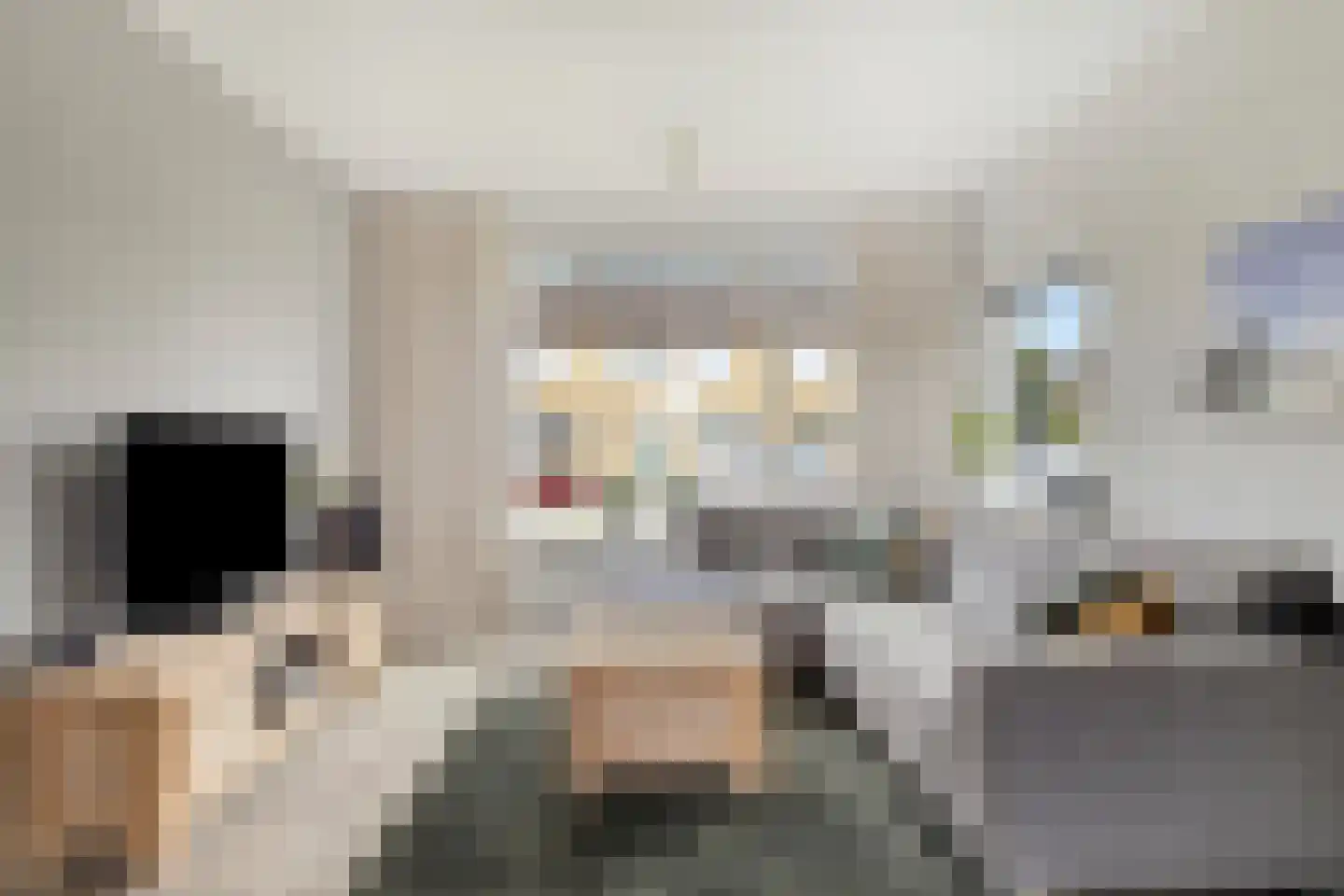 Lijnbaan 15 Leek thumbnail 10