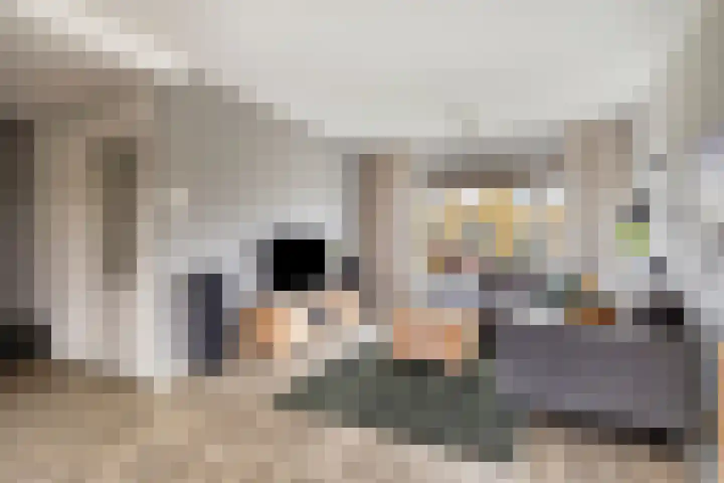 Lijnbaan 15 Leek thumbnail 11