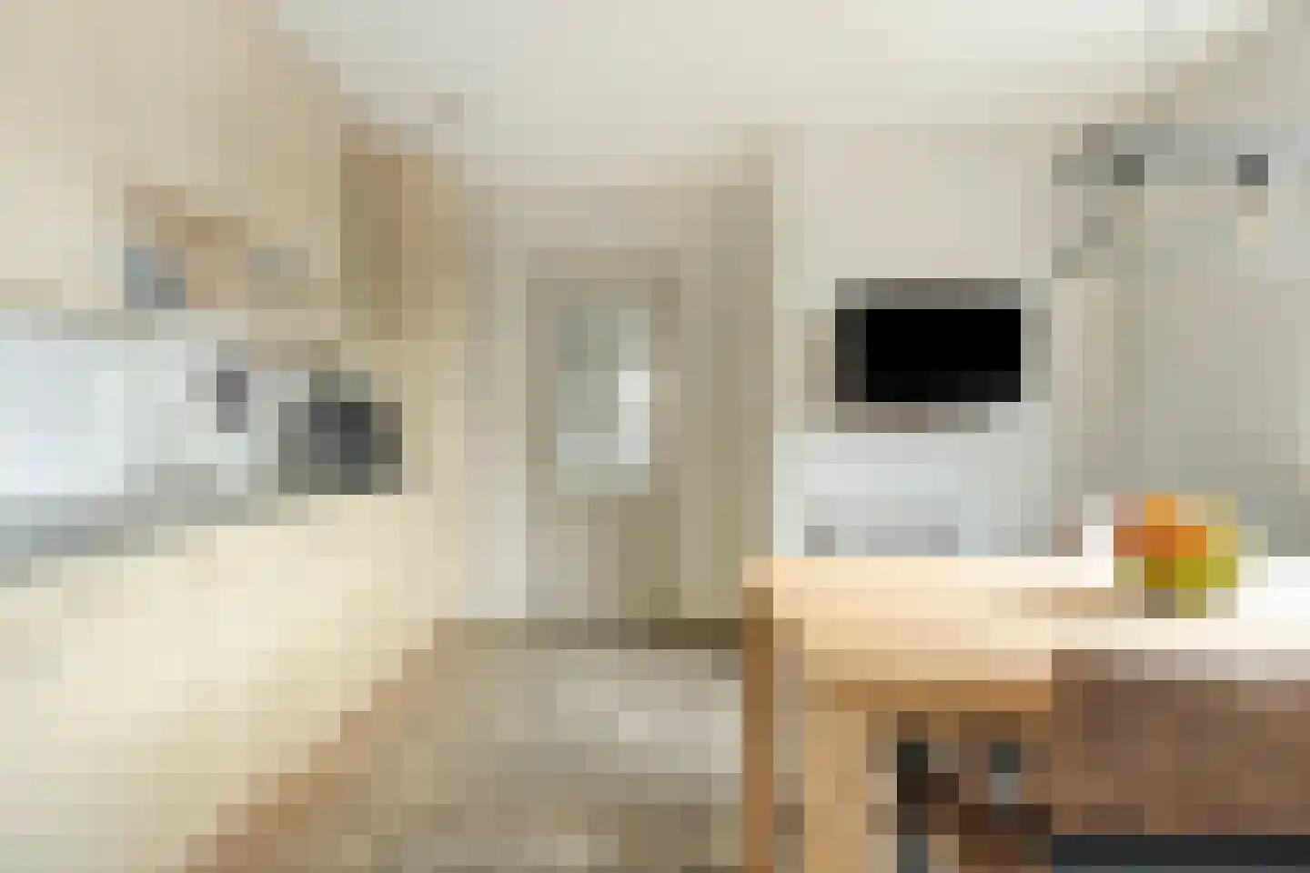 Lijnbaan 15 Leek thumbnail 15