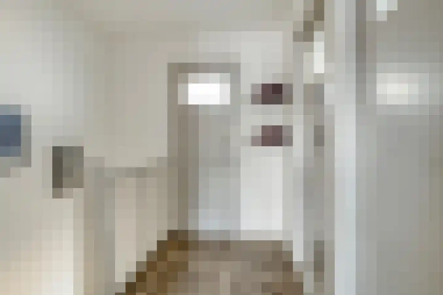 Lijnbaan 15 Leek thumbnail 20