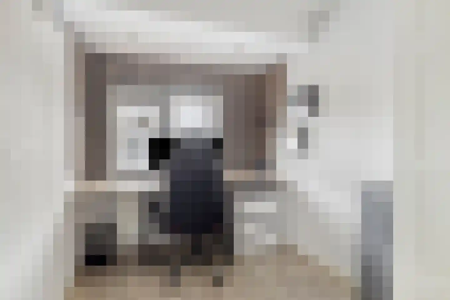 Lijnbaan 15 Leek thumbnail 28