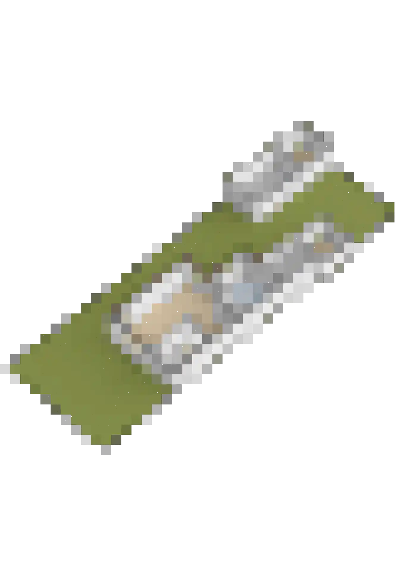 Lijnbaan 15 Leek thumbnail 50