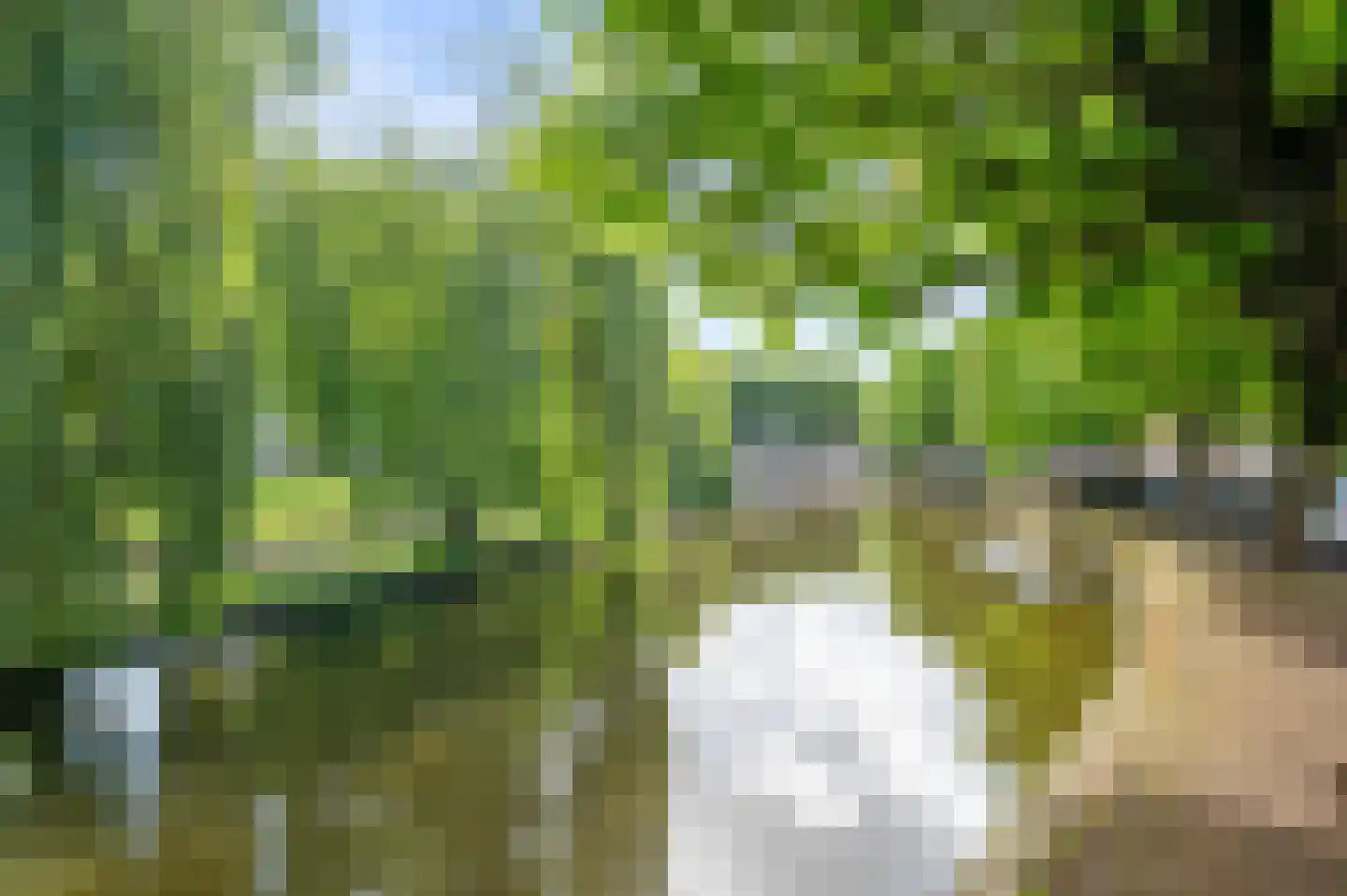 Lijnbaan 152 Den Haag thumbnail 32