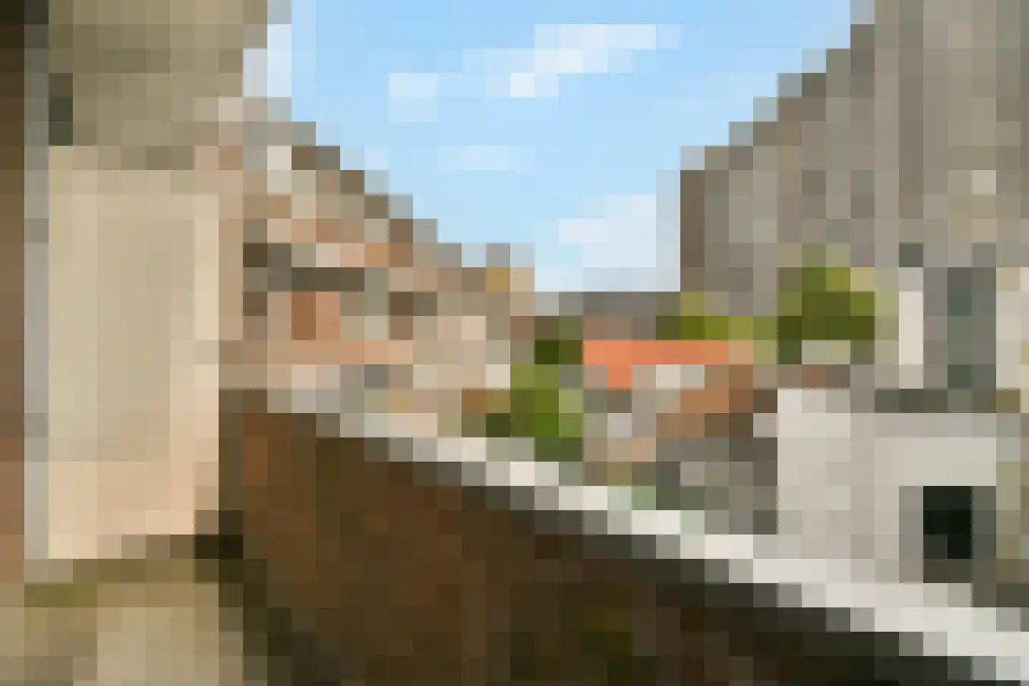 Lijnbaan 180 Den Haag thumbnail 10