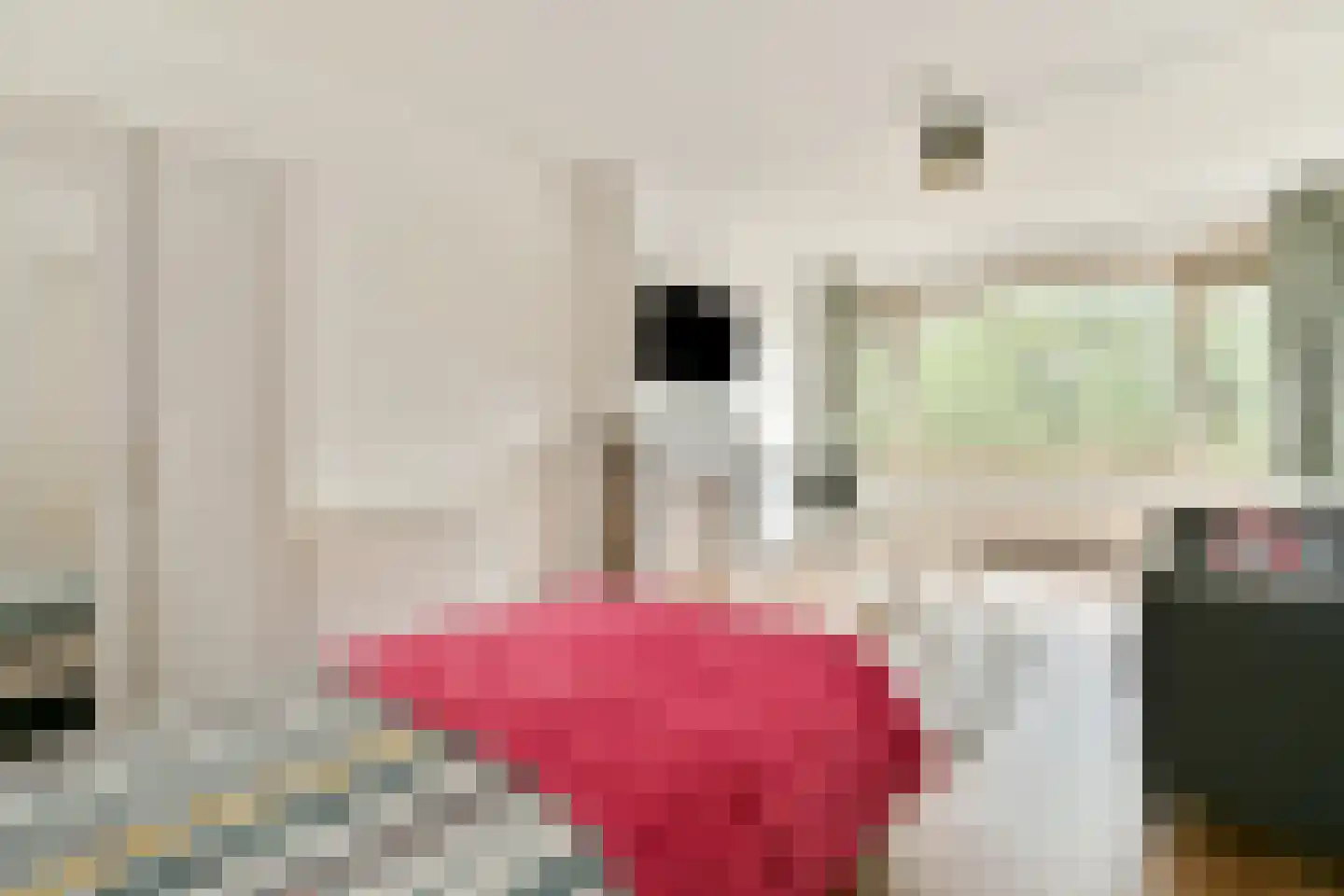 Lijnbaan 180 Den Haag thumbnail 12