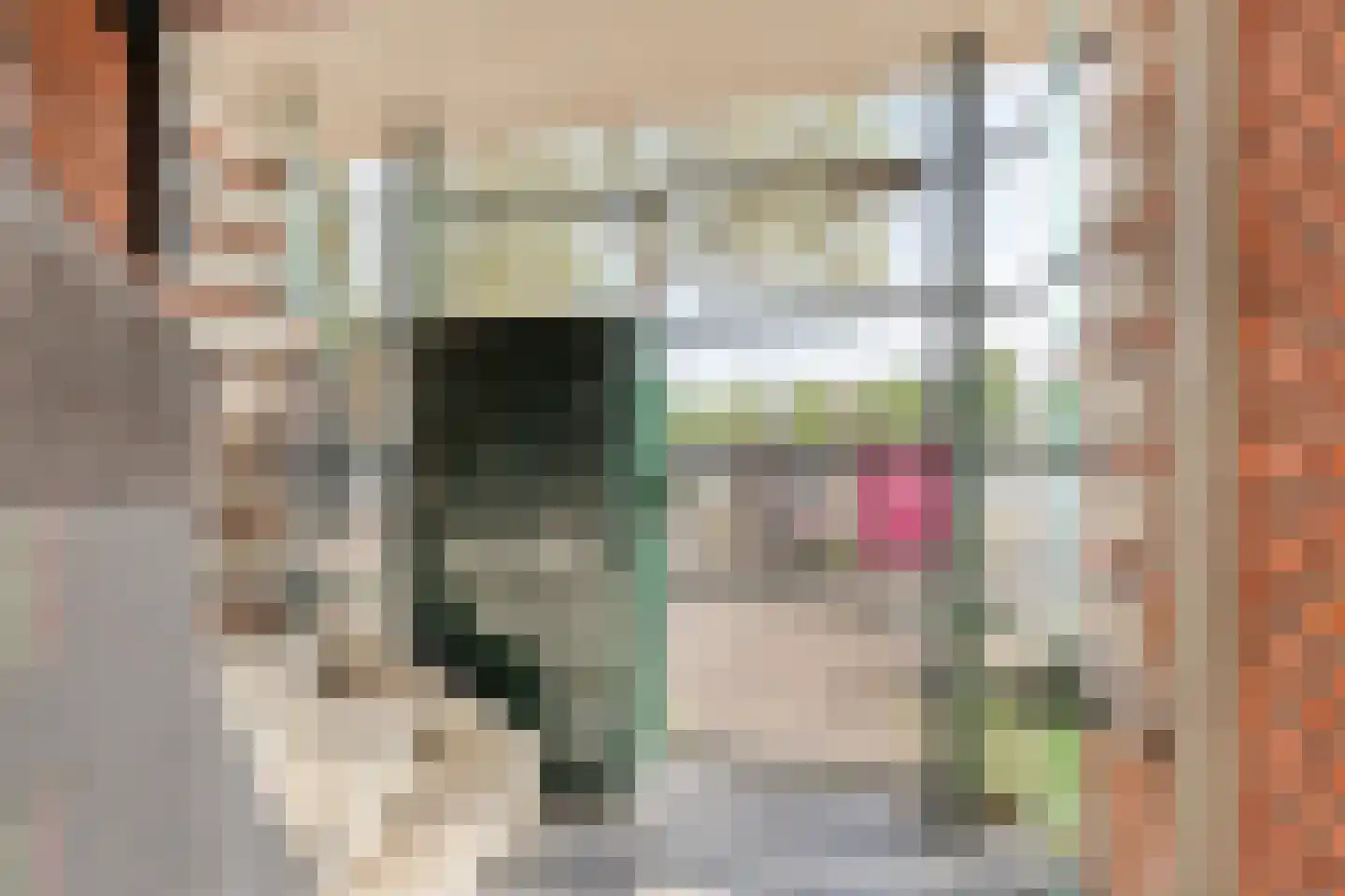 Lijnbaan 184 Den Haag thumbnail 4