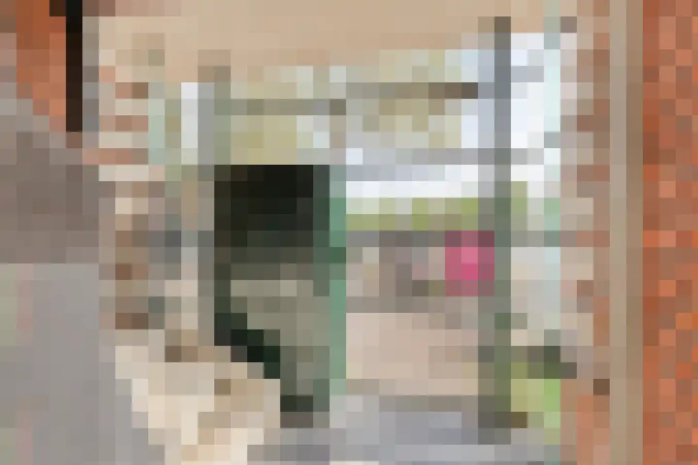 Lijnbaan 184 Den Haag thumbnail 4