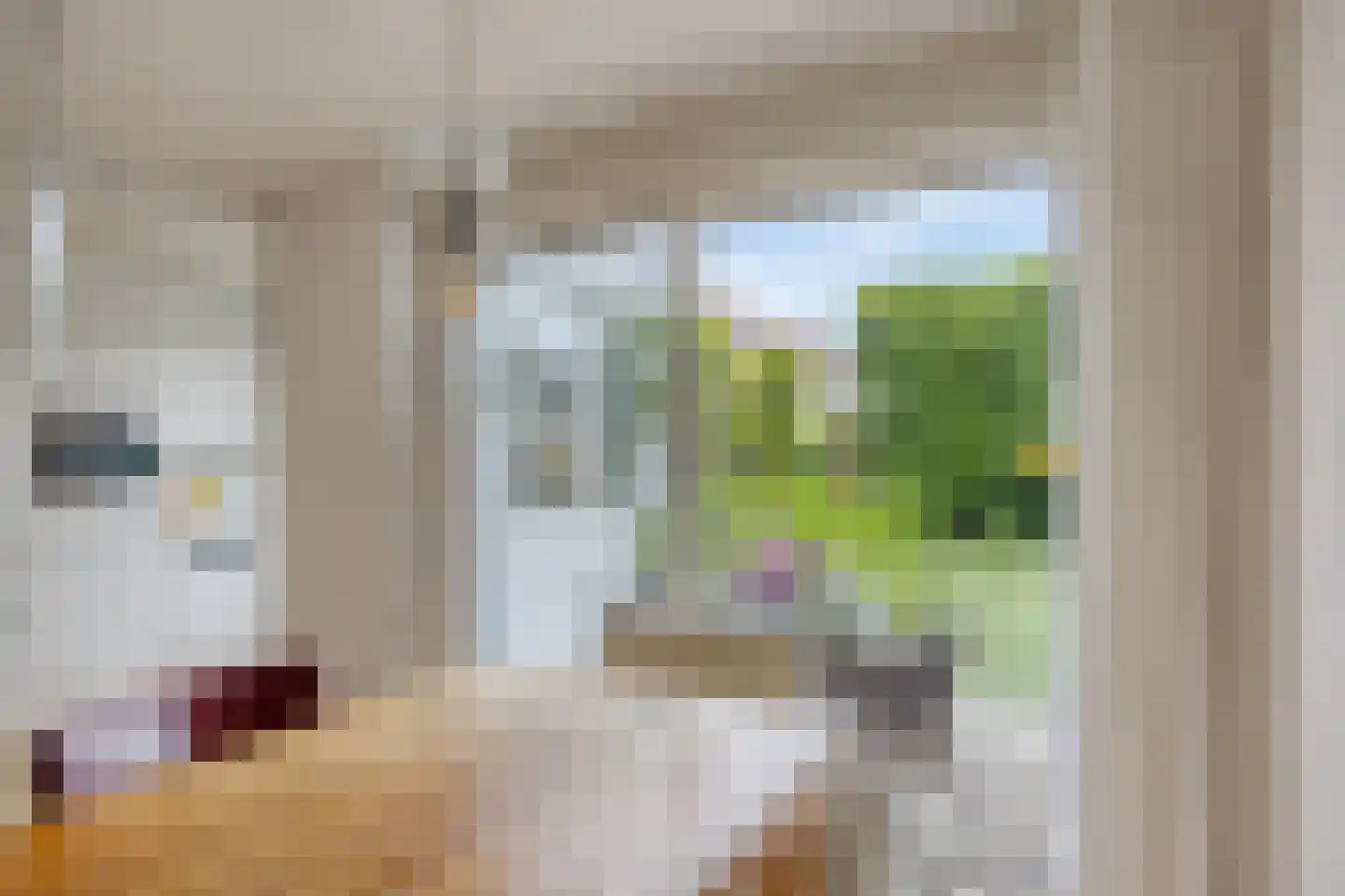 Lijnbaan 2 Oudewater thumbnail 12