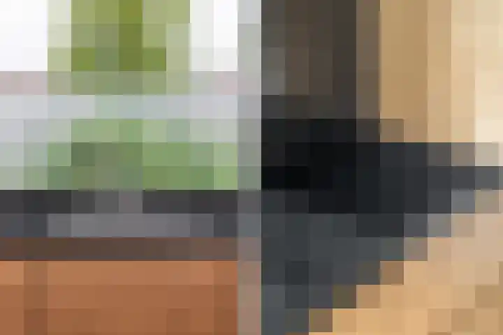 Lijnbaan 243 Zoetermeer thumbnail 10