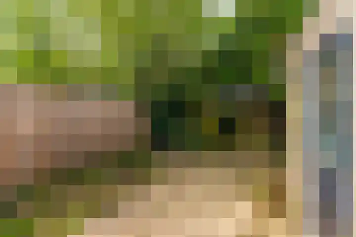 Lijnbaan 243 Zoetermeer thumbnail 21