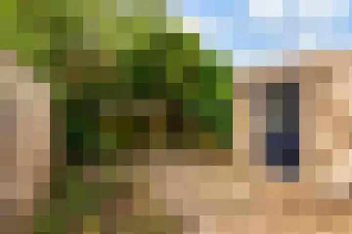 Lijnbaan 243 Zoetermeer thumbnail 22