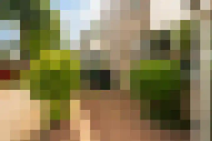 Lijnbaan 243 Zoetermeer thumbnail 23