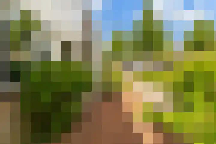 Lijnbaan 243 Zoetermeer thumbnail 24