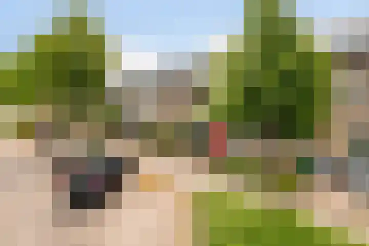 Lijnbaan 243 Zoetermeer thumbnail 25