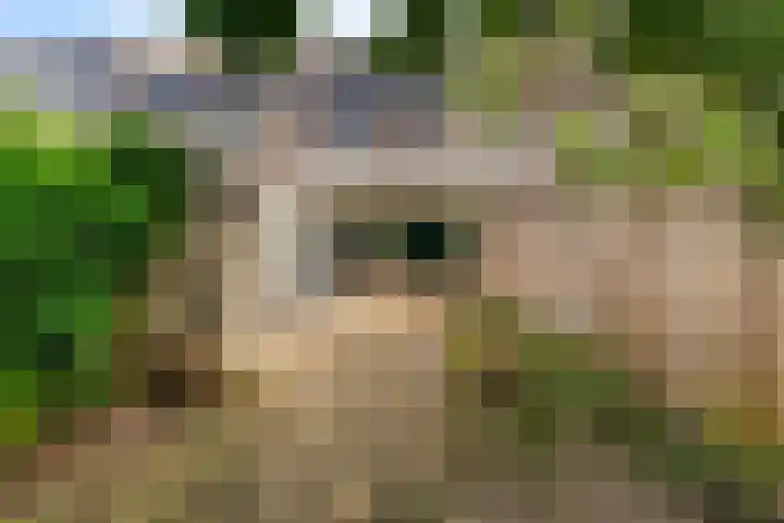 Lijnbaan 243 Zoetermeer thumbnail 4